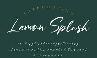 Signature Font Calligraphy Logotype Script Brush Font Type Font lettering handwritten vector