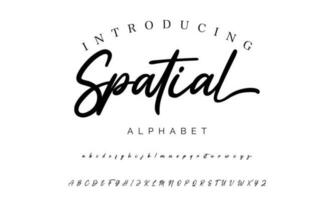 Signature Font Calligraphy Logotype Script Brush Font Type Font lettering handwritten vector