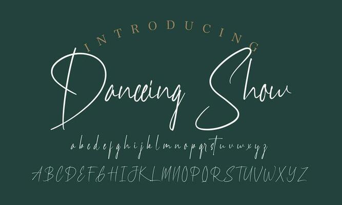 Signature Font Calligraphy Logotype Script Brush Font Type Font lettering handwritten