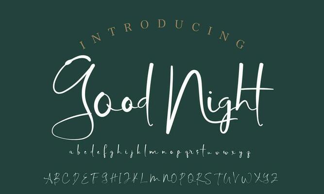 Signature Font Calligraphy Logotype Script Brush Font Type Font lettering handwritten