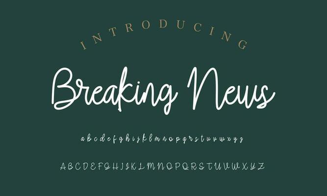 Signature Font Calligraphy Logotype Script Brush Font Type Font lettering handwritten