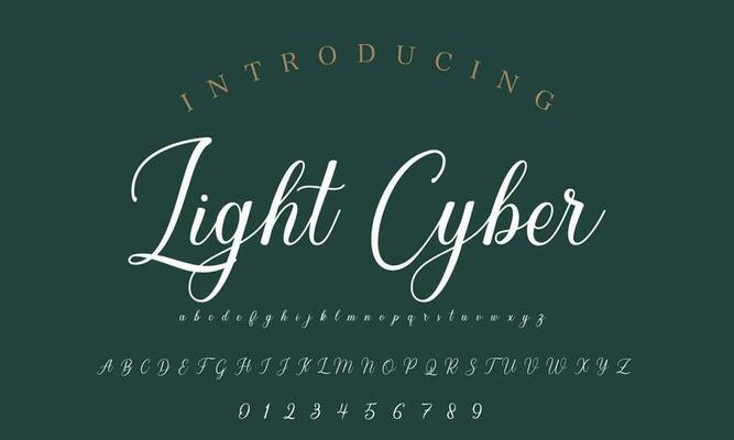Signature Font Calligraphy Logotype Script Brush Font Type Font lettering handwritten