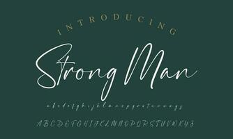 Signature Font Calligraphy Logotype Script Brush Font Type Font lettering handwritten vector