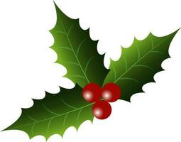 Top View Of Holly Berry Over White Background. vector