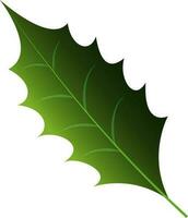 Isolated Pin Oak Leaf Background. vector