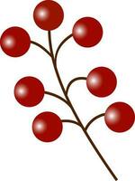 Red Berry Branch On White Background. vector