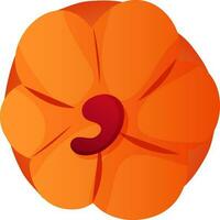 Top View Of Orange Pumpkin Flat Element. vector