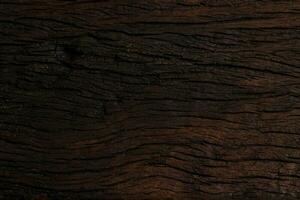 texture background pattern old oak natural beauty line photo