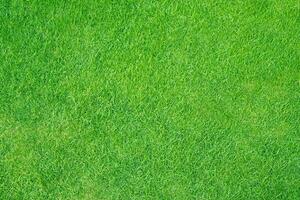 Artificial grass field meadow green. Top View Texture. photo