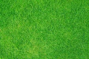 Artificial grass field meadow green. Top View Texture. photo