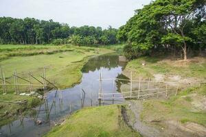 River water flows through in the cannel with greenery landscape view of under the blue sky photo