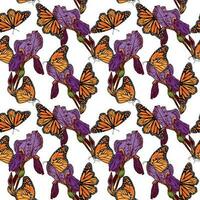 Orange monarch butterfly and purple iris flowers. Vector seamless pattern with butterflies and irises. Design of textiles, covers, clothes, wrapping paper.