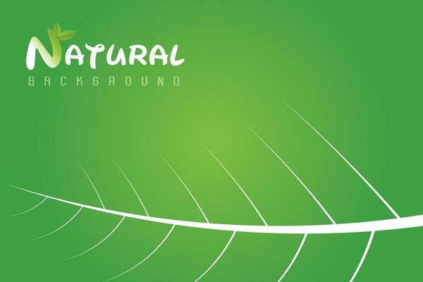 nature green leaft background