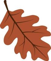 Autumn leaves vector graphic