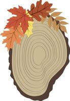 Wooden cut with Autumn leaves in isolated background. vector