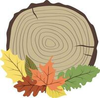 Wooden cut with Autumn leaves in isolated background. vector