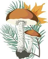 Composition of Autumn Mushrooms with leaves in isolated background. vector