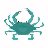 Blue crab isolated on white background vector