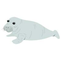 Cute baby manatee isolated on white background vector