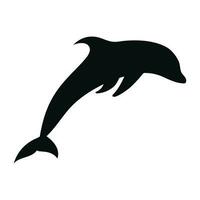 Dolphin silhouette isolated on white background vector