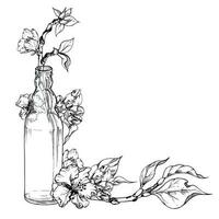 Hand drawn ink composition with apple flowers on branch with leaves and glass bottle. Isolated on white background. Design for wall art, wedding, print, fabric, cover, card, invitation. vector