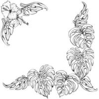 Hand drawn vector ink exotic monstera leaves and hibiscus flowers. Square border frame. Isolated on white background. Design wall art, wedding, print, fabric, cover, card, tourism, travel booklet.