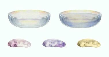 Hand drawn watercolor spa glass bowl empty and filled with water and assortment of soap. Isolated object on white background. Design for wall art, wellness resort, print, fabric, cover, card, booklet. vector