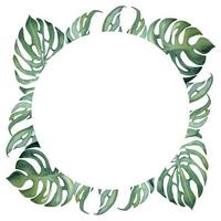 Hand drawn watercolor exotic green monstera leaves tropic foliage. Circle wreath frame. Isolated on white background. Design wall art, wedding, print, fabric, cover, card, tourism, travel booklet. vector