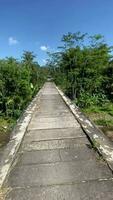 video of views of the mountains and rice fields from the bridge