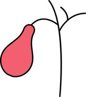 Flat Style Gallbladder Icon In Red And Black Color. vector