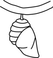 Lineal Style Hanging Pupa Of Insect Stage Icon. vector