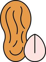 Peanut With Seed Orange And Pink Icon. vector