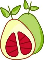 Isolated Pomelo Icon In Red And Green Color. vector