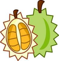 Isolated Full And Cut Piece Of Durian Fruit Flat Icon. vector