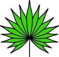 Flat Illustration Of Green Fan Palm Leaf Icon. vector