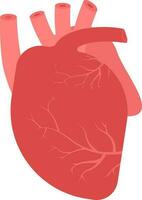 plano humano corazón estructura icono en rojo color. vector