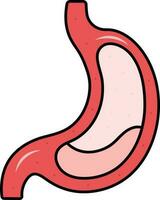 Red Illustration Of Stomach Structure Icon. vector