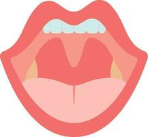 Human Mouth Internal Structure Icon In Red Color. vector