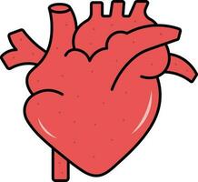 Flat Human Heart Structure Icon In Red Color. vector