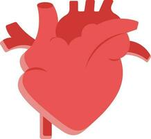 Flat Human Heart Structure Icon In Red Color. vector