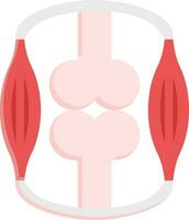 Synovial Joint Structure Icon In Pink And Red Color. vector