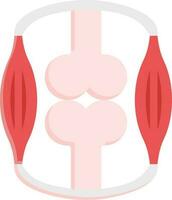 Synovial Joint Structure Icon In Pink And Red Color. vector