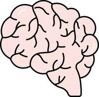 Pink And White Brain Anatomy Flat Icon. vector