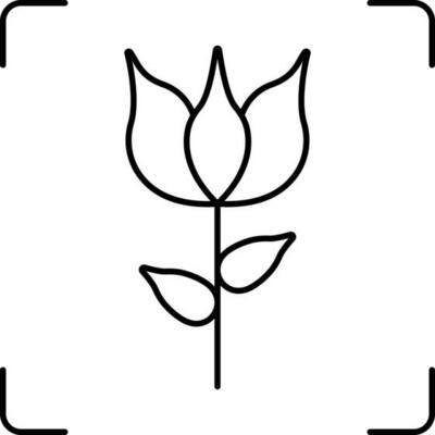 Macro Photo Shoot Icon In Thin Line Art.