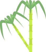 Flat Style Sugarcane Icon In Green Color. vector