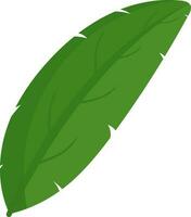 Isolated Bananana Leaf Icon In Flat Style. vector