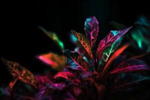Defocused neon overlay. Blur led glow. Leaf texture glare. Blur fluorescent purple red decorative illumination motion on dark black abstract background. photo