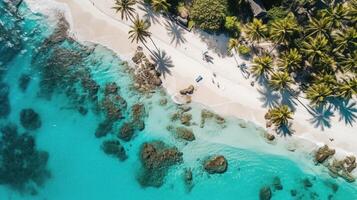 A tropical beach with palm trees seen from above. photo