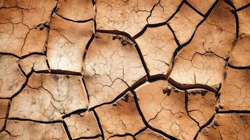 A detailed close-up of a cracked surface with intricate patterns and textures. photo