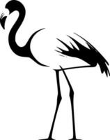 Flamingo, Black and White Vector illustration